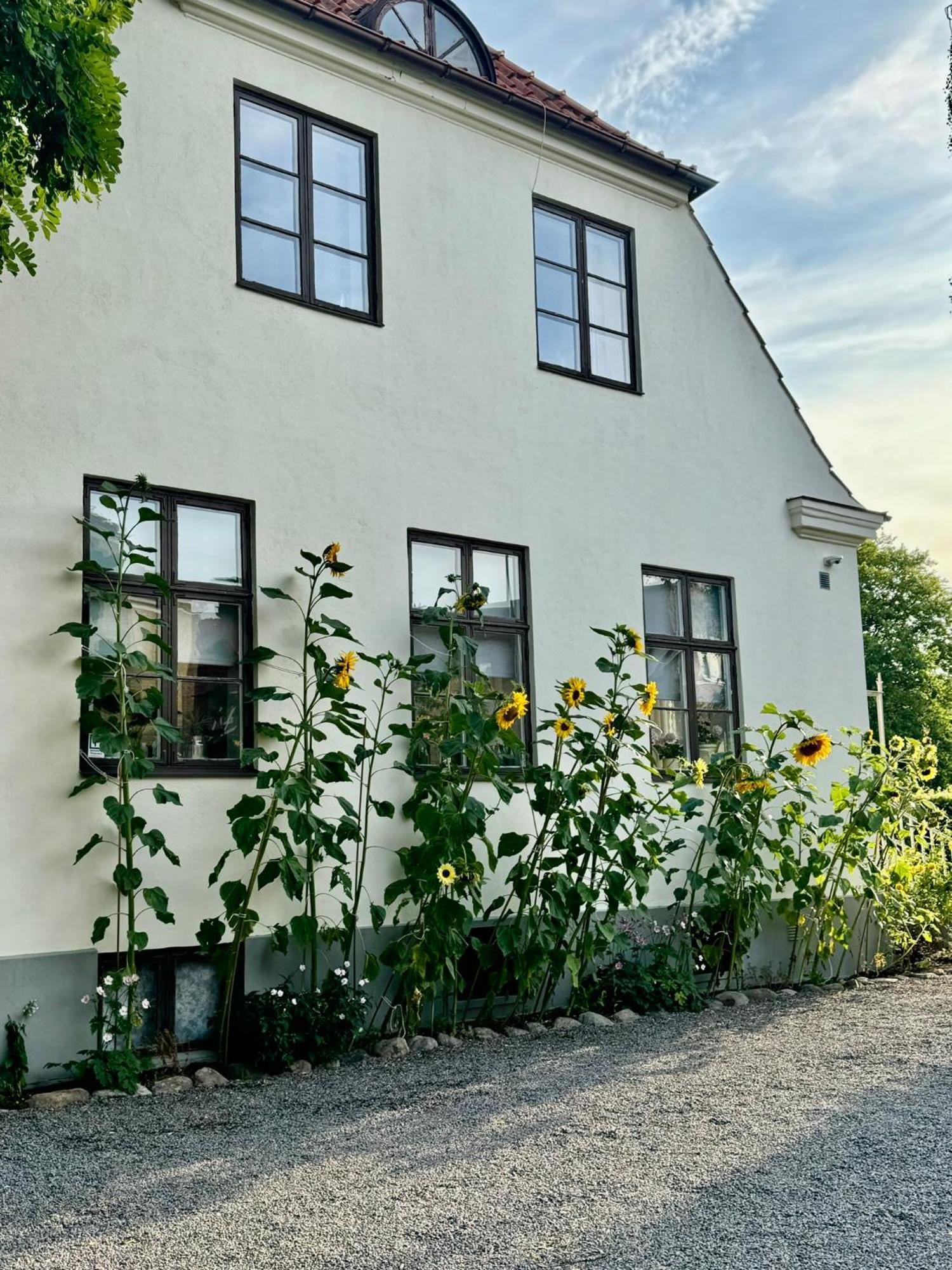Stf Landskrona Hostel 兰斯克鲁纳 外观 照片