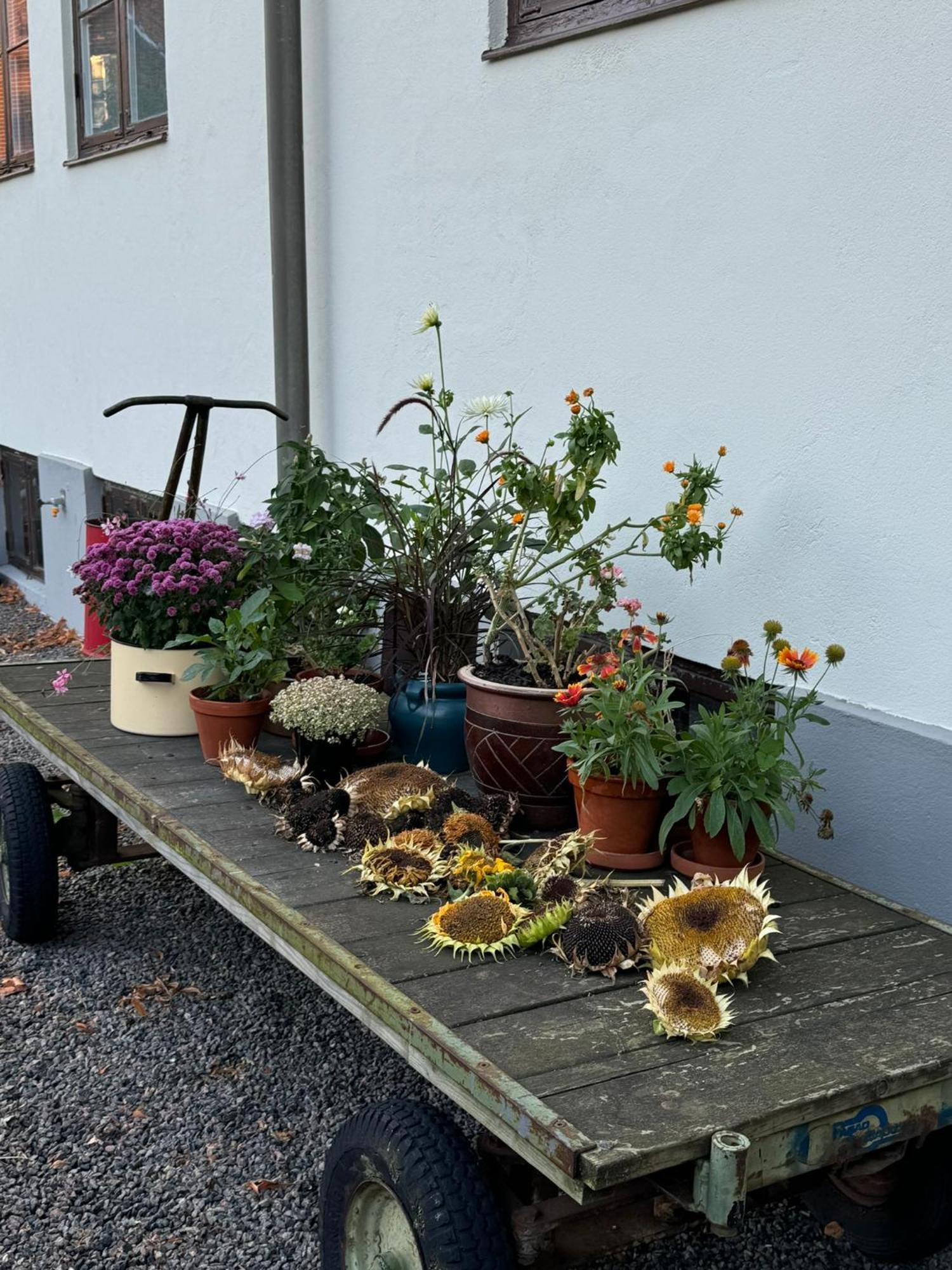 Stf Landskrona Hostel 兰斯克鲁纳 外观 照片